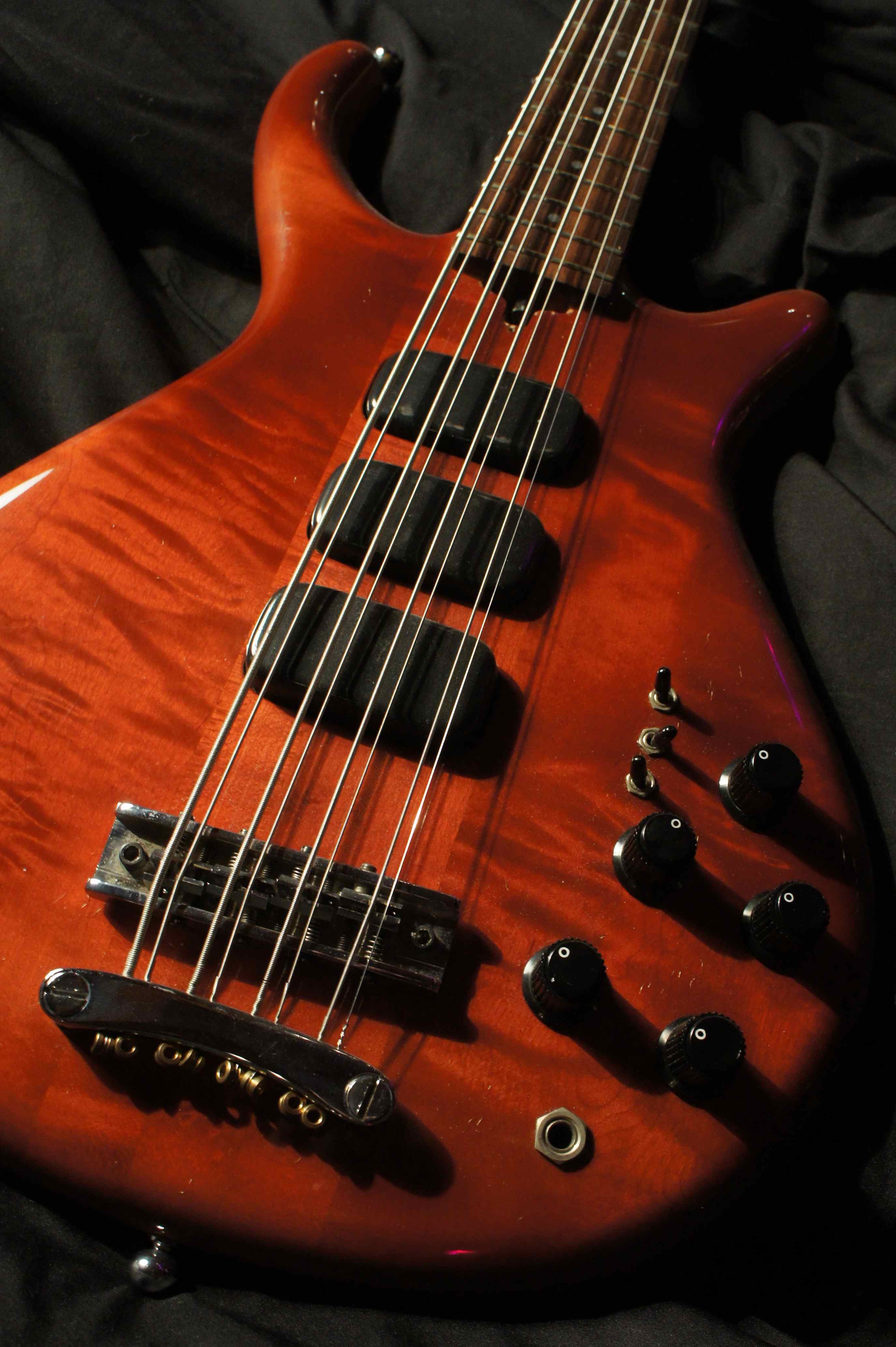 Kasim Sulton Bass