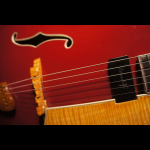 Curtis, Custom build 17" Arch-top, 2004 - Arlen Roth