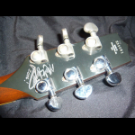 Heritage, Les Paul - TransPerformance self tuning, 1992 – Mark Slaughter