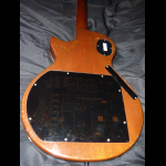Heritage, Les Paul - TransPerformance self tuning, 1992 – Mark Slaughter