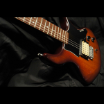 Hamer, Prototype, 1981