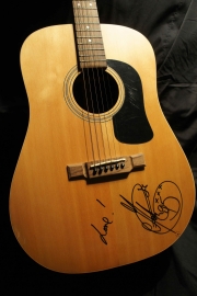 Washburn, WD20S Dreadnought Acoustic Guitar, 1995 - Matt Goss (Bros)